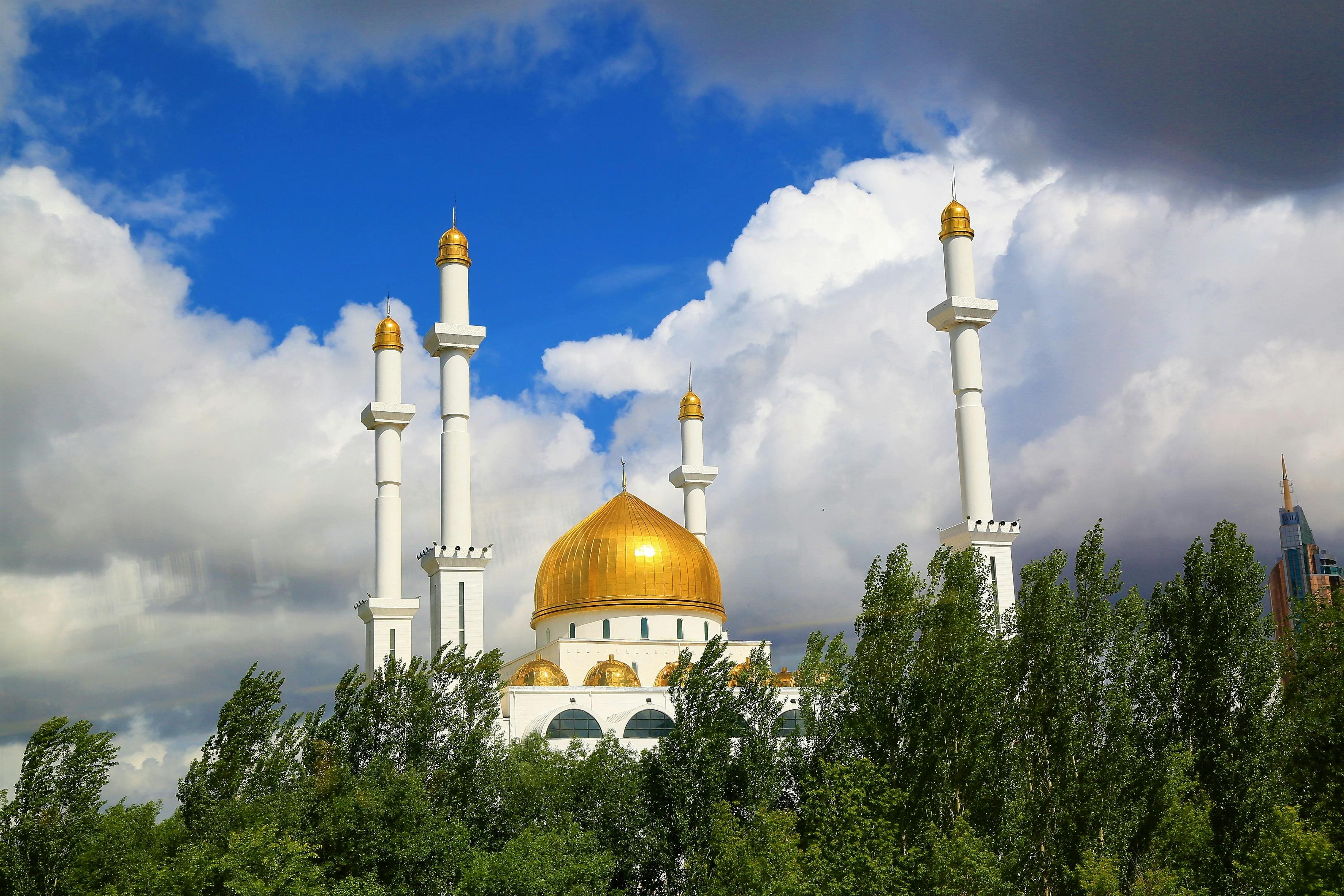 كيف تختار الأسهم الحلال: دليل المستثمر الشامل